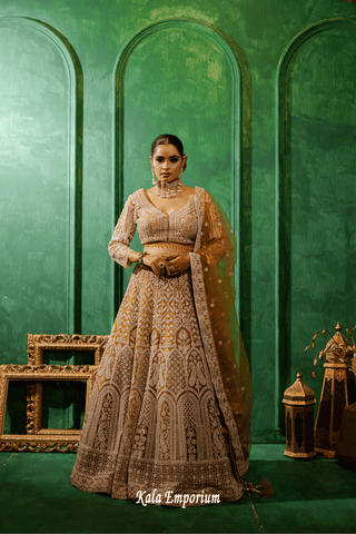 Lehenga with Stone and Thread work