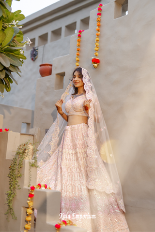 Baby Pink Net Lehenga with Thread and Sequins Work