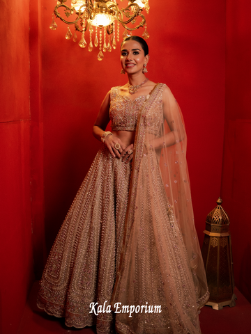 Lehenga with Pearls and Zari work