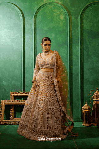 Lehenga with Stone and Thread work