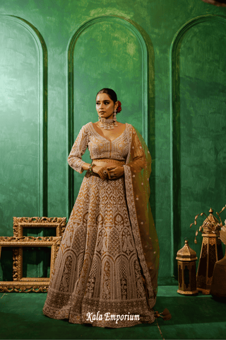 Lehenga with Stone and Thread work