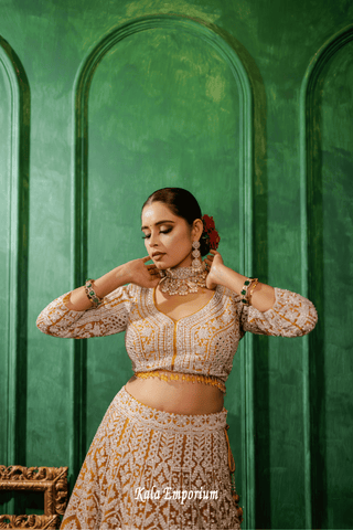 Lehenga with Stone and Thread work